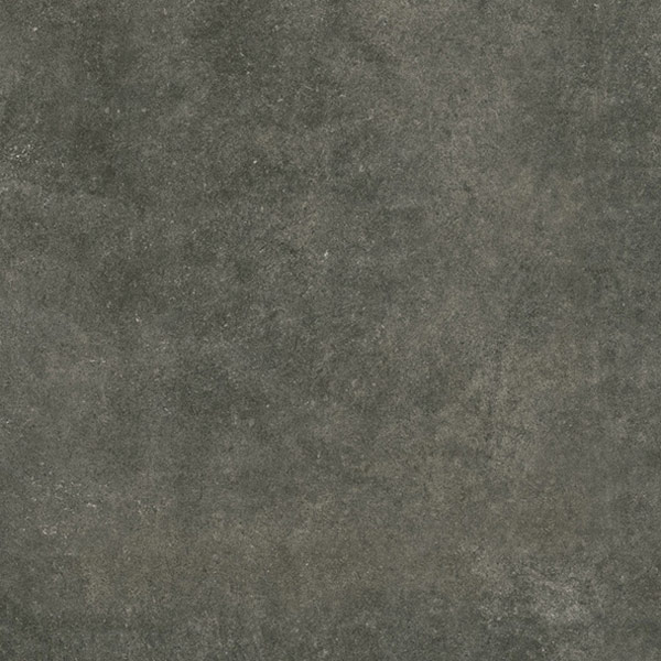 carrelage Ess. Plock Grafito 60.8 x 60.8cm, Grès cérame, pour intérieur et extérieur
