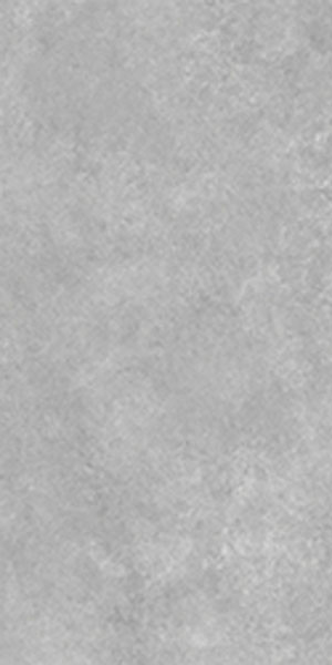 carrelage aspect béton Rebel silver 120 x 60cm, Grès cérame, pour intérieur et extérieur