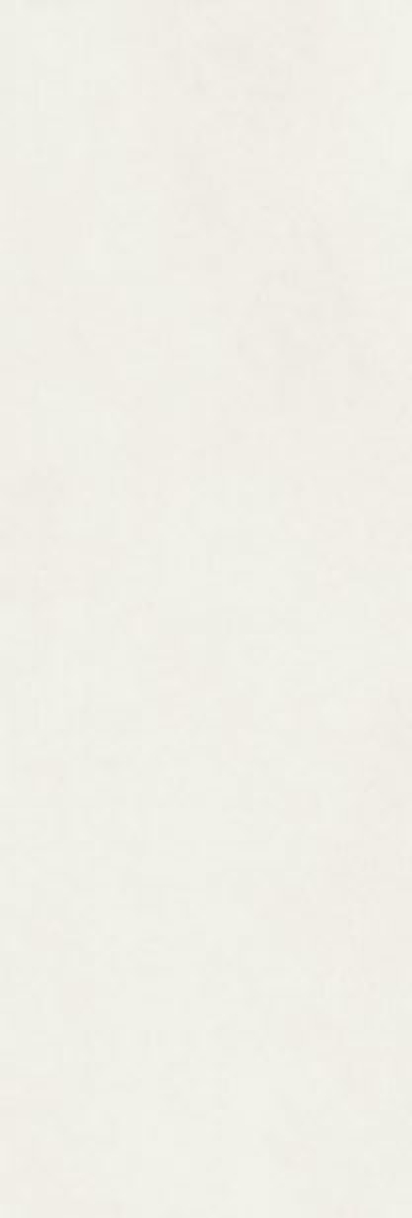 Faience Rotterdam White 85.5 x 28.5cm, Pate rouge, pour intérieur