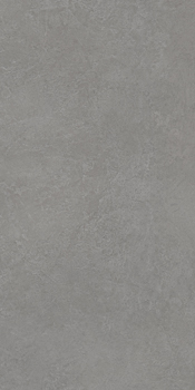 Carrelage Vis Gris moyen 30x60cm - teinté dans la masse - VIS6 36MG RM 60 x 30cm, Grès cérame, pour