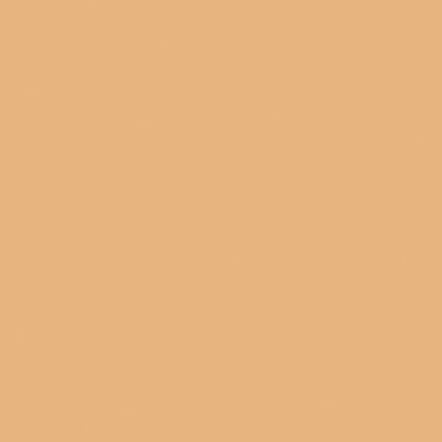 Carrelage aspect carreaux ciment Vodevil Beige 20 x 20cm, Grès cérame, pour