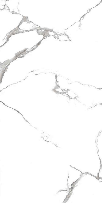 carrelage Calacatta Gris brillant EMP 120 x 60cm, Grès cérame, pour intérieur et extérieur