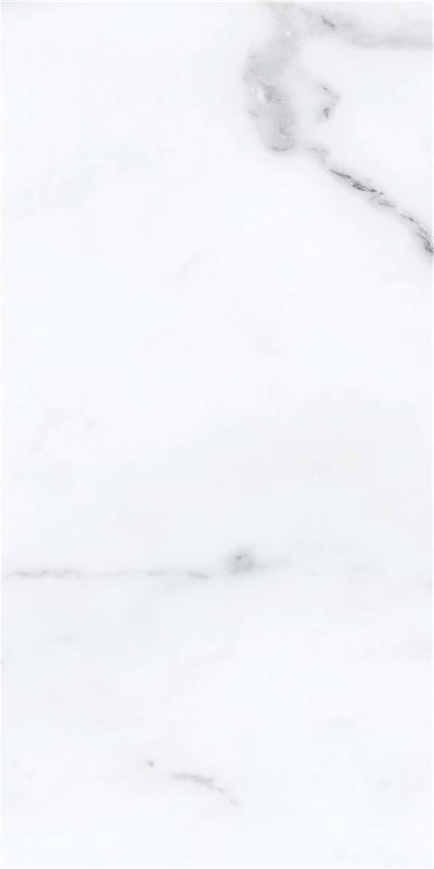 carrelage mat Artistic white 120 x 60cm, Grès cérame, pour intérieur et extérieur
