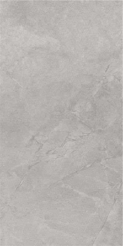 carrelage Brook Grey 120 x 59.5cm, Grès cérame, pour intérieur et extérieur